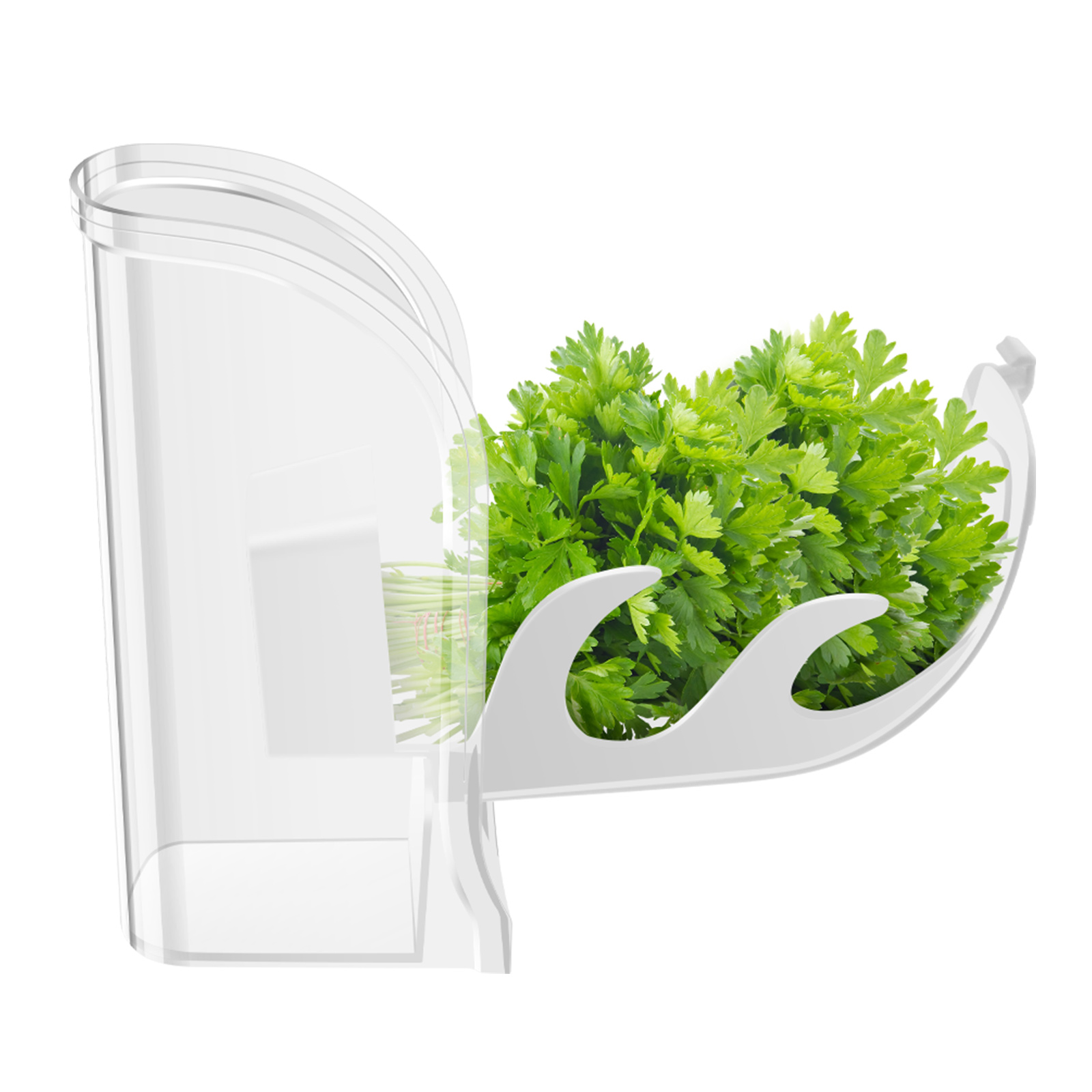 สมุนไพร Crisper Saver คอนเทนเน - Kitchen Gadgets Modern บทวิจารณ์และราคา